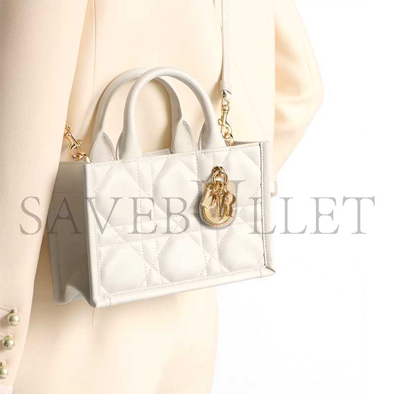 DIOR MINI DIOR BOOK TOTE S5573OWHP_M030 (21.5*13*7.5cm)